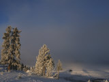 Snowy Landscape  Yellowstone National Park