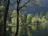 Scenic View of the Merced River in Spring