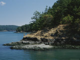 A Scenic View of a Peaceful Shoreline