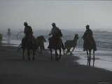 Chincoteague Cowboys Herd Wild Ponies for the Annual Pony Swim