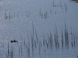 Fishermen on a Lake in Grand Teton National Park
