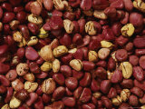 Close View of Cola Nuts