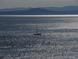 Sailboaters on Silver-Colored Waters