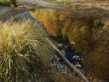 Autumnal Trees Reflected in a Pool of Water