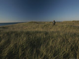Woman Walking in the Tall Grass Near a Beach
