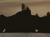 The Point of Arches Silhouetted against the Evening Sky