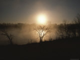 Twilight View of Fog over the Tennessee River