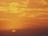 Sunset Sky  Vorpommersche Boddenlandschaft National Park  Germany