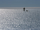 A Ski Mountaineer Crosses a Bare Glacier Near the Ellsworth Mountains