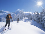 Cross-Country Skiers in the Selkirk Range  British Columbia  Canada