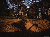 View of the Floor of the Crater at Petersburg