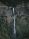 A Tall and Narrow Waterfall Emptying into a Forest of Pines