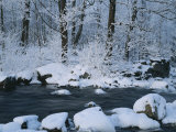 A Stream Running Through Snowy Woodland