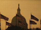 Twilight View of American Flags Flying Near the Capitol Building
