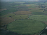 Aerial View of Crop Fields Planted in Circular Patterns
