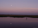Marsh Area  Twilight View  Moon Reflected in Water  US