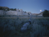 Landscape Shot of Grasslands  with White Cliffs in the Background