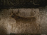 Relief of a Cow Holding up the Universe in the Tomb of Seti I