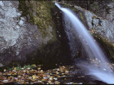 Crabtree Falls  Virginia