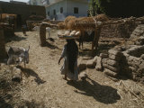 A Woman Carries Fresh-Baked Bread Through a Stable Yard