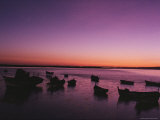 A Twilight View of Fishing Boats Silhouetted in a Portuguese Harbor