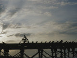 A Silhouetted Cyclist Crosses a Bridge at Twilight