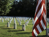 Rows of Tombstones Marked with American Flags Fill a Cemetery