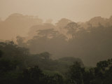 Layers of Rain Forest Foliage Emerge from Mist  Costa Rica