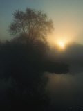 Sunrise over the Wetland in the Oder River Marsh