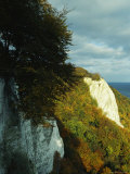 Cliffs with Autumn Foliage  Jasmund National Park  Germany