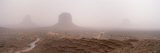 The Mittens  Monument Valley  Sandstorm Along the Utah-Arizona Border