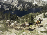 A Packtrain Winds its Way Past Toxaway Lake