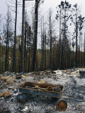 A Childs Burnt Wagon in the Remains of the Los Alamos Fires in 2000