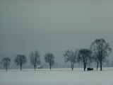 Rural Scenic in Snow  Bavaria  Germany