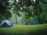 A Campers Tent Pitched in a Woodland Meadow