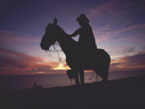Horse and Rider Silhouetted on a Hill Above the Pacific Ocean