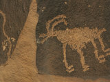 Petroglyphs  Animal Rock Art