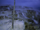 Twilight Winter View of Mammoth Hot Springs