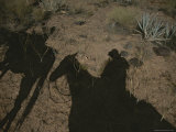 Shadows of People on Horseback in the Arizona Desert