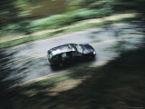 Panned View of a Car Driving Through the Park