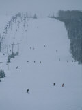 Skiers Making Their Way Down a Gentle Hill