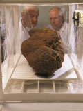 Two Researchers Observe a Mummy Bundle in a Humidification Chamber