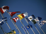 Flags of Canadian Provinces Waving on Flag Poles against a Blue Sky