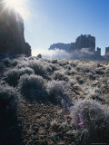 Ice Crystals and Ground Frost in Arches National Park  Utah