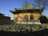 Indigenous Architecture with a Flock of Pigeons in Front