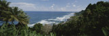 An Elevated View of the Shore of the Windward Side of St Vincent