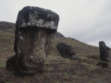 Moai Head Sculptures on a Slope of Rano Raraku  a Soft Stone Quarry
