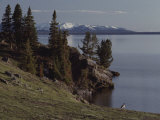 A Scenic View of Yellowstone Lake with a Canada Goose on the Shore