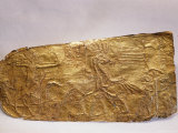 Gold Foil from Horses Harness Showing a Young Tut Practicing Archery