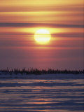 A Dramatic Golden Sunset over a Snowy Landscape